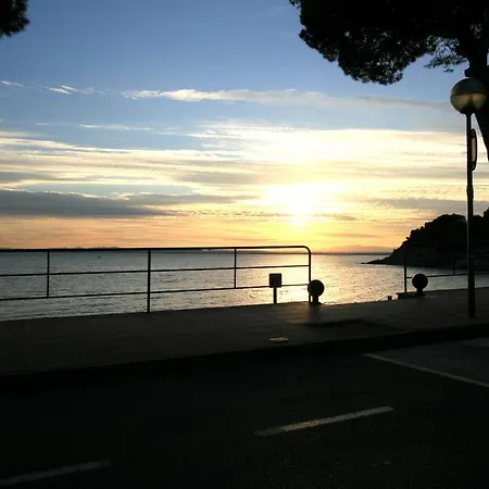 Leon Inmo Maravella - 10319